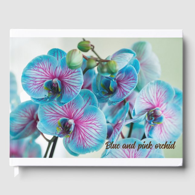 Libro De Visitas Blooming aislado en un fondo blanco (Anverso)