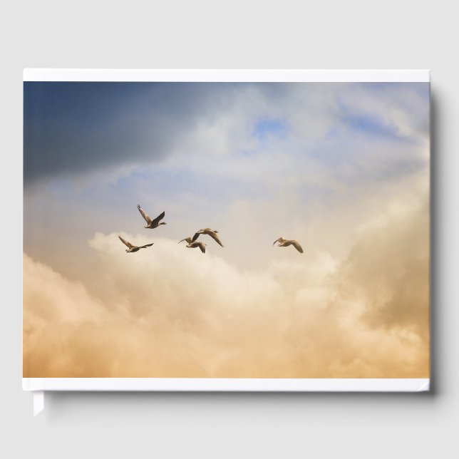 Libro De Visitas Bloqueo de aves en vuelo (Anverso)