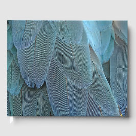 Libro De Visitas Blue Feather