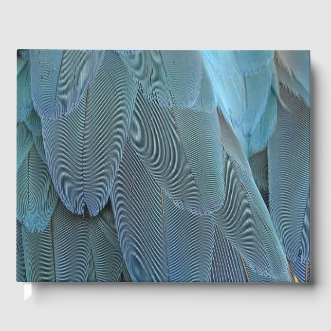 Libro De Visitas Blue Feather (Anverso)