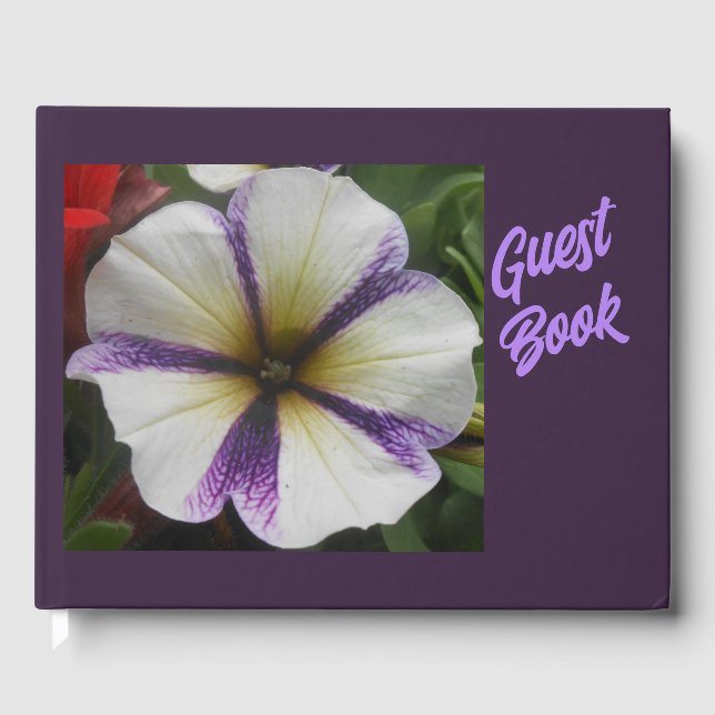 Libro De Visitas Bonito (Anverso)