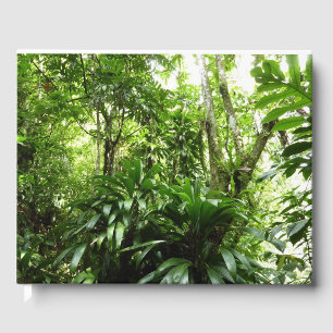 Libro De Visitas Bosque lluvioso dominicano I Naturaleza tropical v