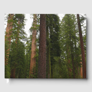 Libro De Visitas Bosque Mariposa en el Parque Nacional Yosemite