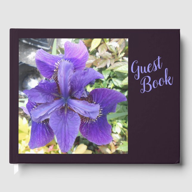 Libro De Visitas Brandeis (Anverso)