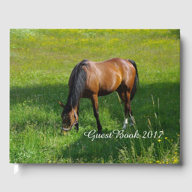 Libro De Visitas Caballo #1 (Anverso)