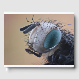 Libro De Visitas Cabeza de insecto primer plano