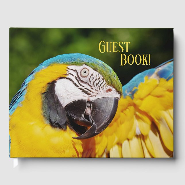 Libro De Visitas Cabeza de un macao azul y amarillo (Anverso)