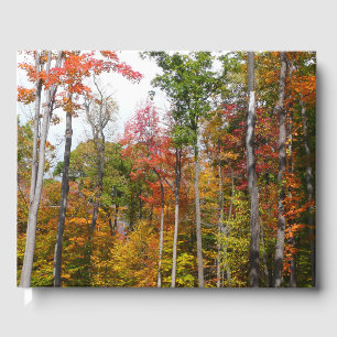 Libro De Visitas Caída en la colorida fotografía de otoño en el bos