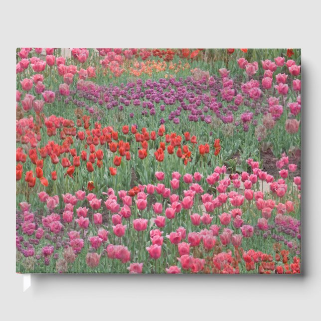 Libro De Visitas Campo De Tulipanes (Anverso)