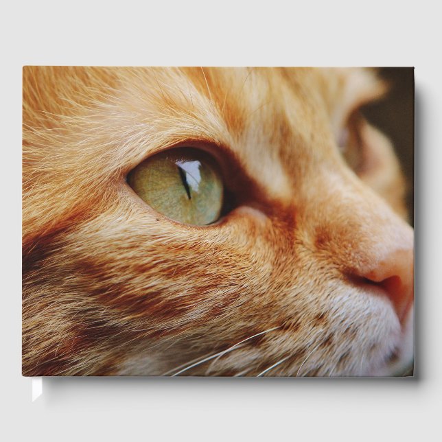 Libro De Visitas Cara determinada de un gato jengibre (Anverso)