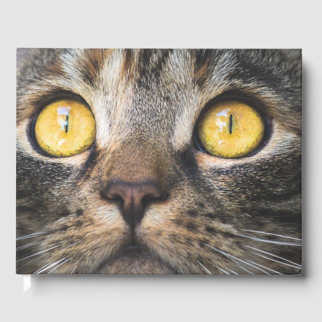 Libro De Visitas Cierre de gato con ojos amarillos (Anverso)