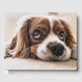 Libro De Visitas Cocker Spaniel Dog de ojos tristes