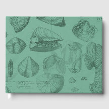 colección shells green mare