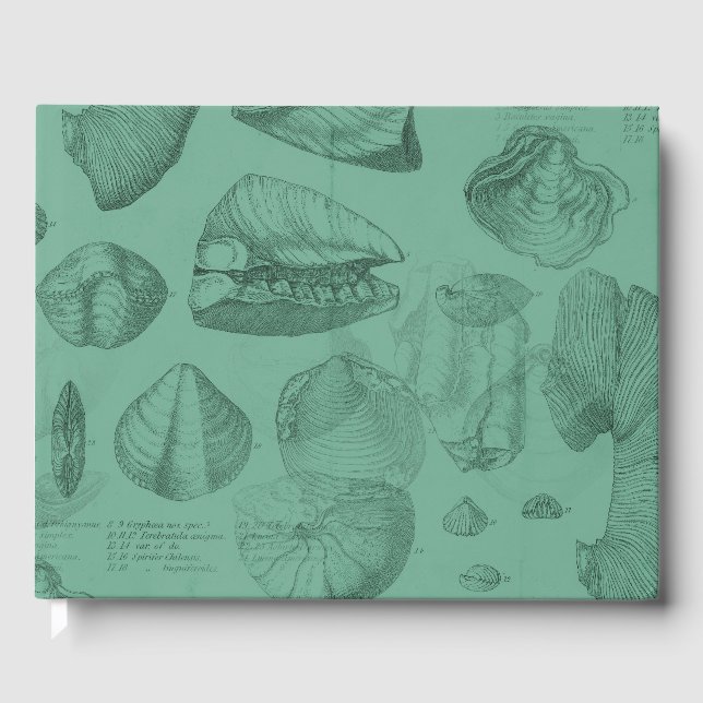 Libro De Visitas colección shells green mare (Anverso)