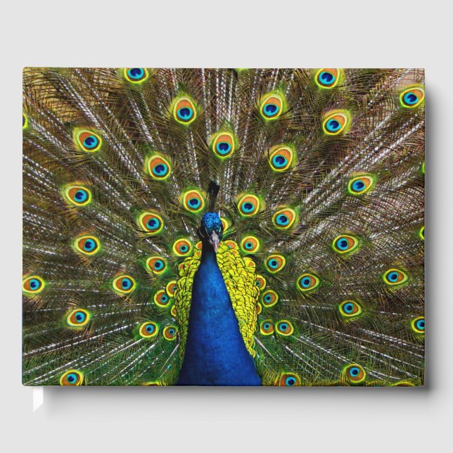Libro De Visitas Colorful peacock (Anverso)