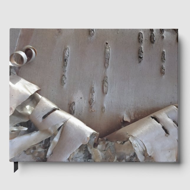 Libro De Visitas Curly Birch Bark Tree Rustic Guest Book (Anverso)