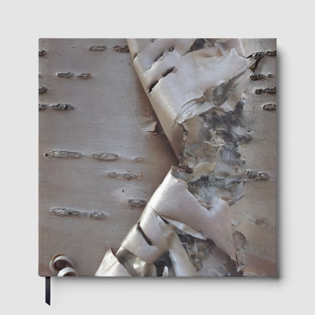 Libro De Visitas Curly Birch Bark Tree Rustic Guest Book (Anverso)