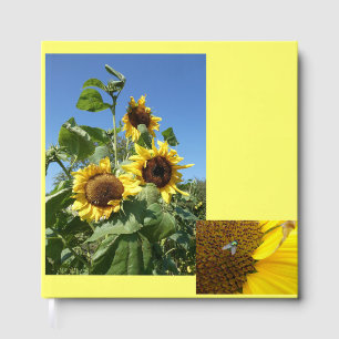 Libro de visitas de girasoles