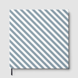 Libro De Visitas Diagonal blue and white stripes pattern