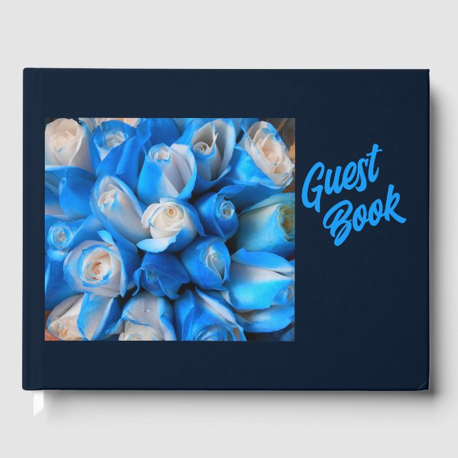 Libro De Visitas Diemudis (Anverso)