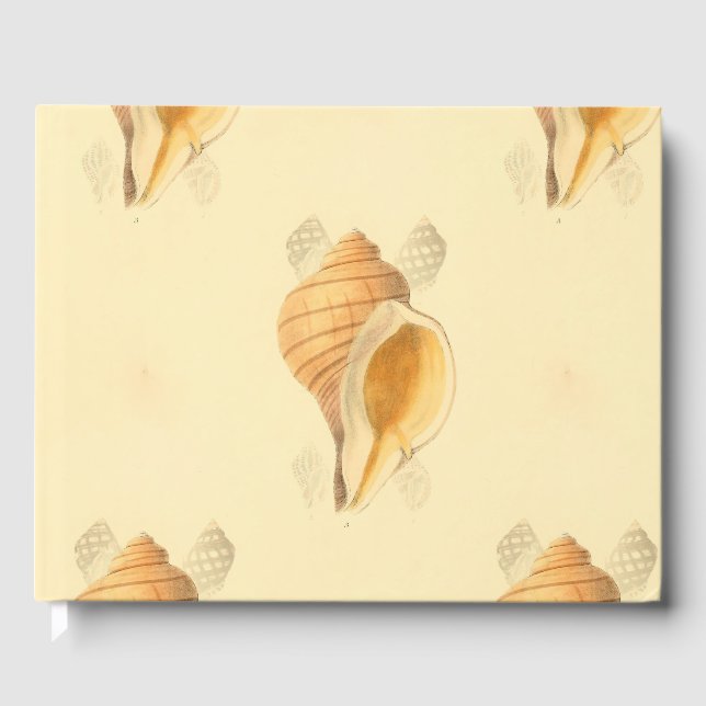 Libro De Visitas diseño de arte de playa de shell sol brillante (Anverso)