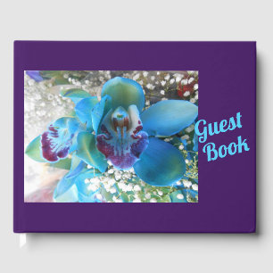 Libro De Visitas Donella