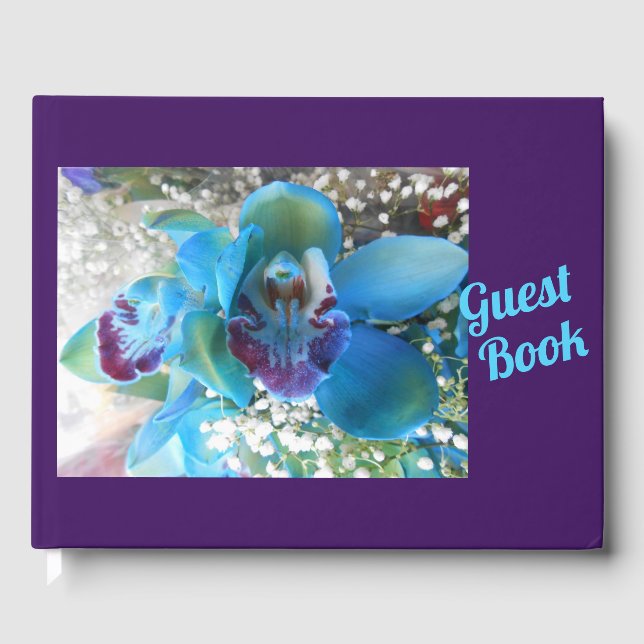 Libro De Visitas Donella (Anverso)