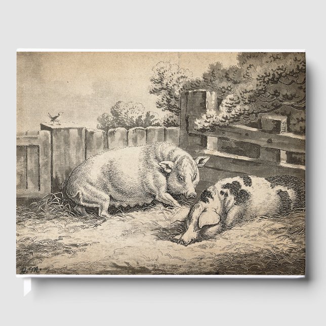 Libro De Visitas Dos cerdos yacen en la paja en una pluma exterior (Anverso)