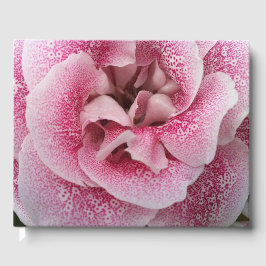 Libro De Visitas Dotty Acerca De Ti