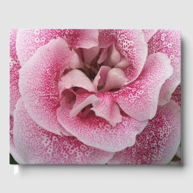 Libro De Visitas Dotty Acerca De Ti (Anverso)