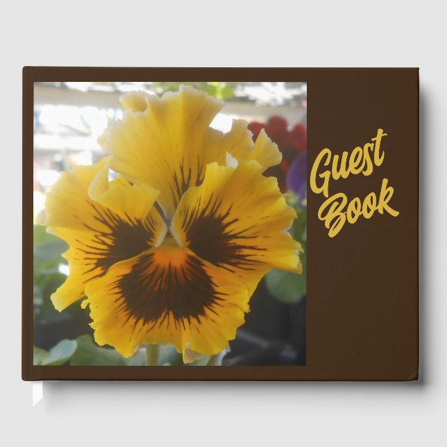 Libro De Visitas Eloise B (Anverso)