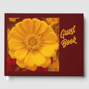 Libro De Visitas Emmeline