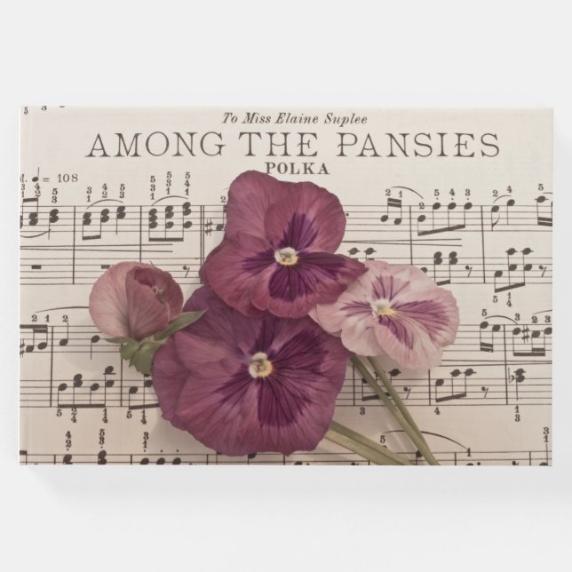 Libro De Visitas Entre las pansias (Anverso)