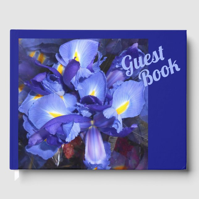 Libro De Visitas Ermengarde (Anverso)