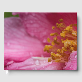 Libro De Visitas Estambres de flores de camellia rosa