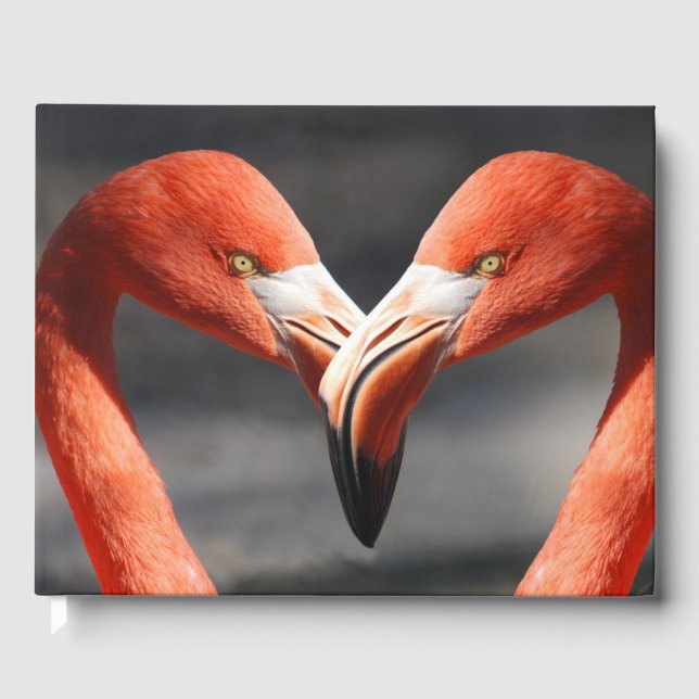 Libro De Visitas Flamingos enamorados (Anverso)