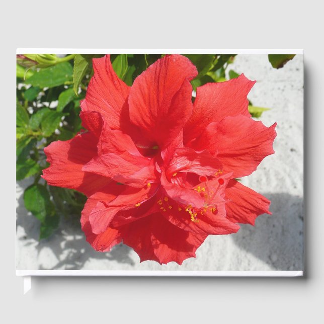 Libro De Visitas Flor doble roja hibiscus (Anverso)