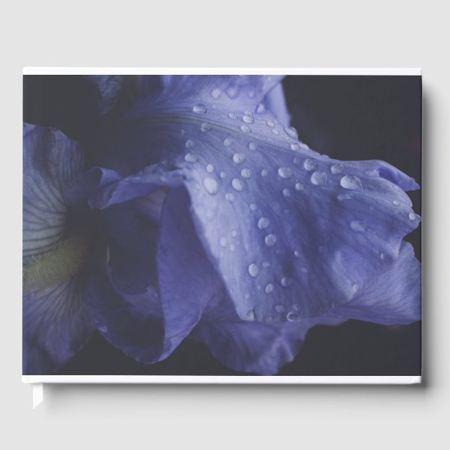 Libro De Visitas Flor morada Rosa (Anverso)