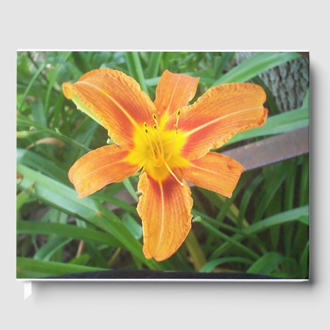 Libro De Visitas Flor naranja (Anverso)