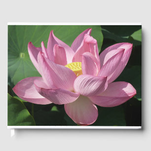 Libro De Visitas Flor rosa Lotus IV