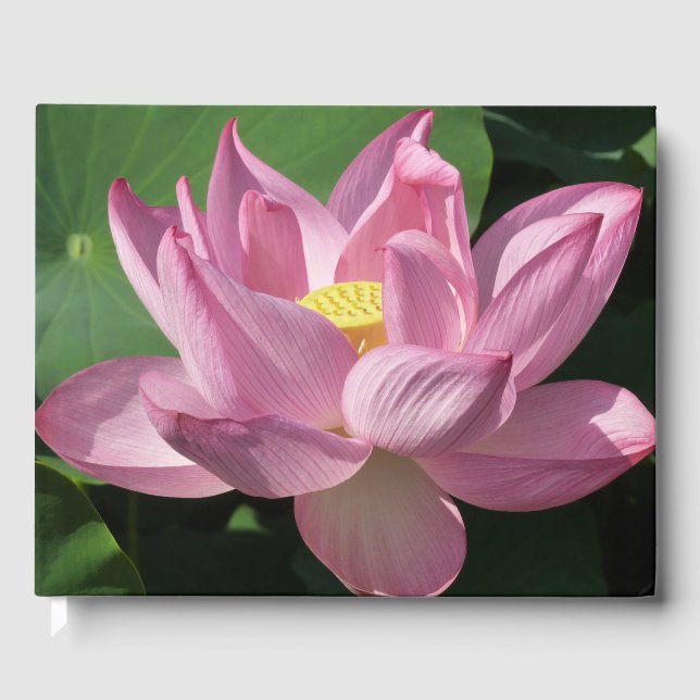 Libro De Visitas Flor rosa Lotus IV (Anverso)