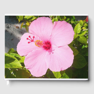 Libro De Visitas Flor tropical Hibiscus rosa