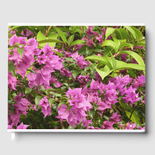 Libro De Visitas Floral Tropical Morada Bougainvillea