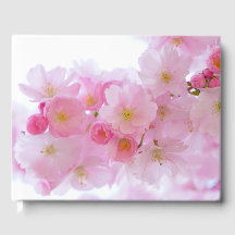 Florecimiento del Árbol de cerezo japonés