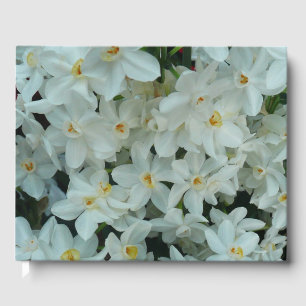 Libro De Visitas Flores blancas de arcissus paperblancas