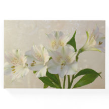 Flores de Alstromeria Blanca