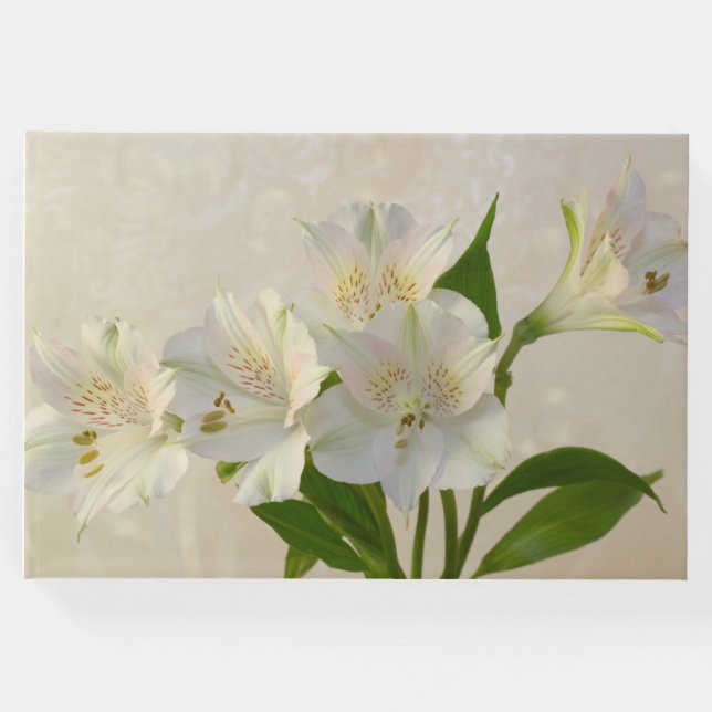 Libro De Visitas Flores de Alstromeria Blanca (Anverso)