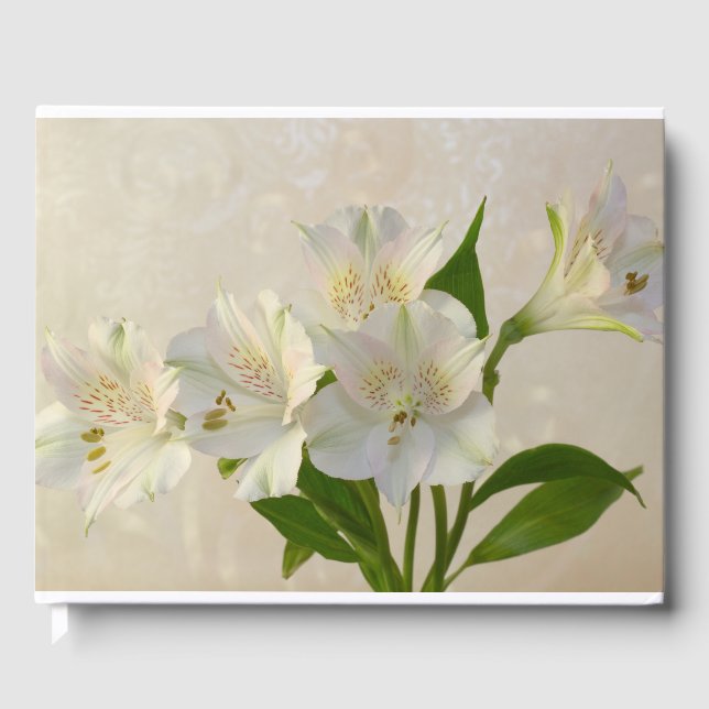 Libro De Visitas Flores de Alstromeria Blanca (Anverso)
