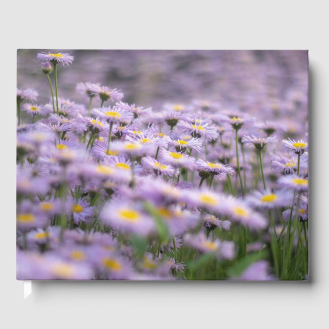 Libro De Visitas Flores de Aster Púrpura (Anverso)