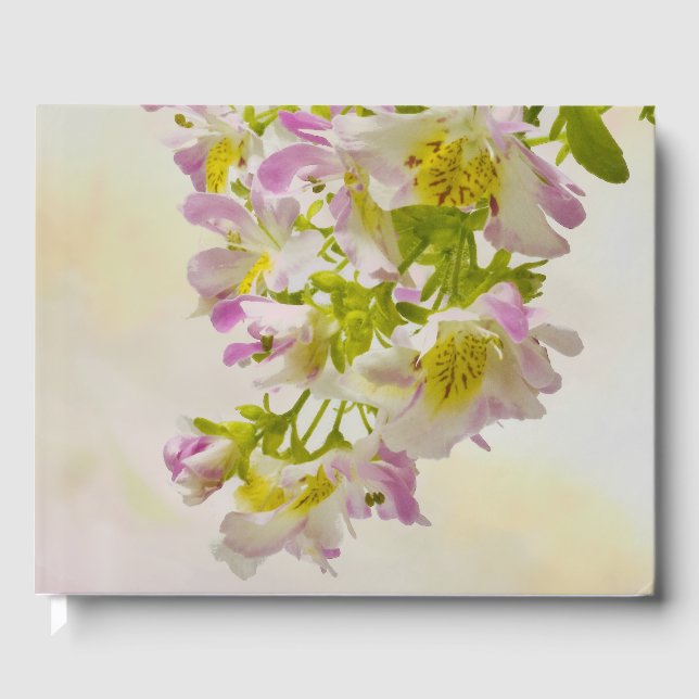 Libro De Visitas Flores de mariposa (Anverso)